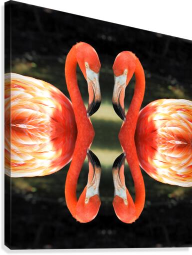 Flamingo Reflections Digital Abstract