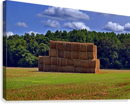 Hay Bales Stacked