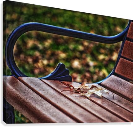 Park Bench w Brown Leaf