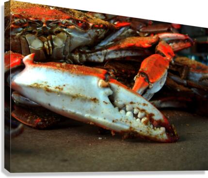Big Crab Claw