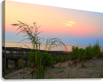 Dune Grass at Dawn