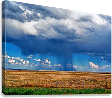 Free Range Summer Rainstorm