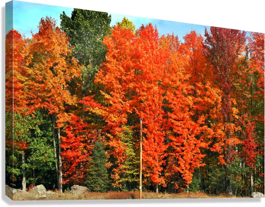 Fall Foliage Michigan Upper Peninsula