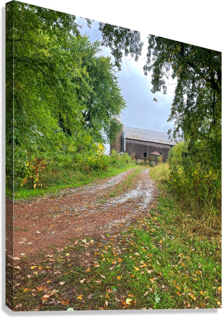 Path to the Old Barn