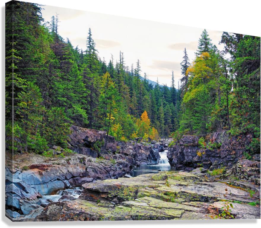 Lake McDonald Falls 