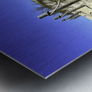 Pathway Across a Dune to the Beach Metal print