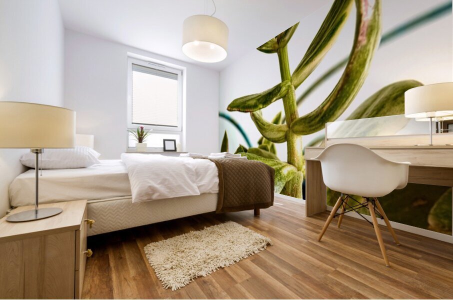 Uplifting Succulent Mural print