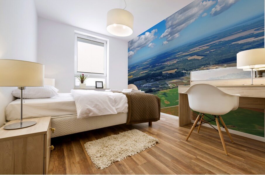 Looking Down over Delmarva Mural print