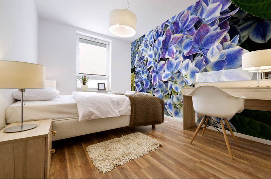 Hydrangea Square Blue Mural print