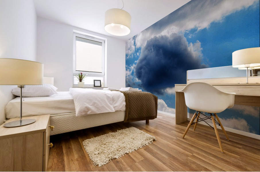 One Dark Cloud Mural print