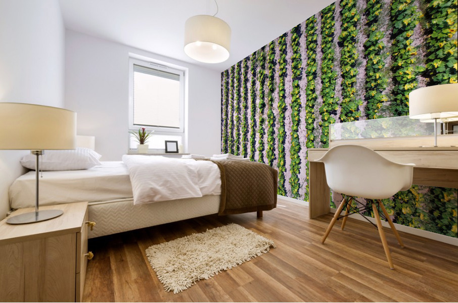 Sunflower Vertical Rows Mural print