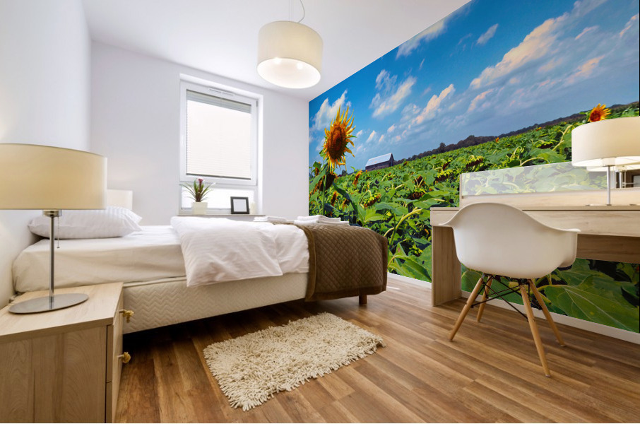 Sunflower Solitaire Mural print