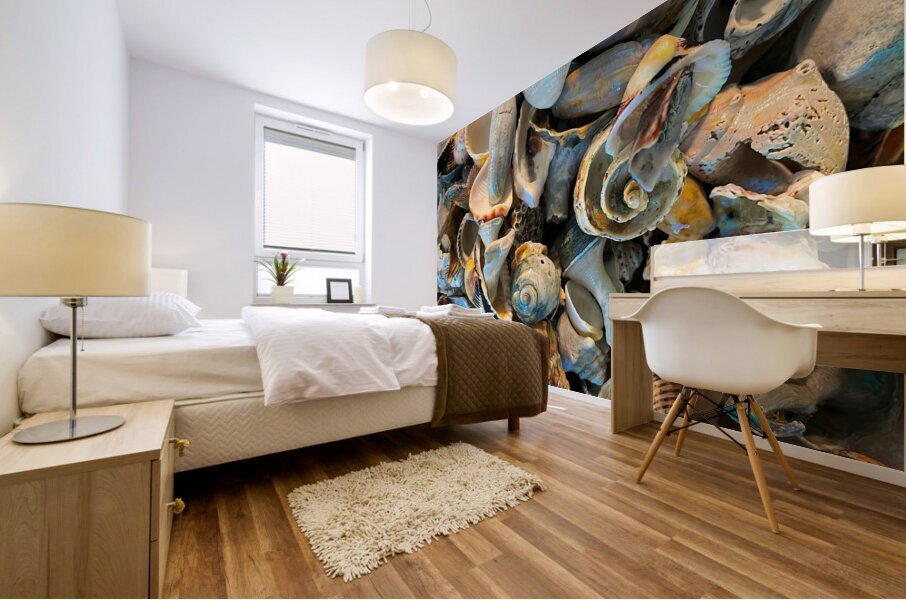 Beachcombing Shells Hodgepodge Mural print