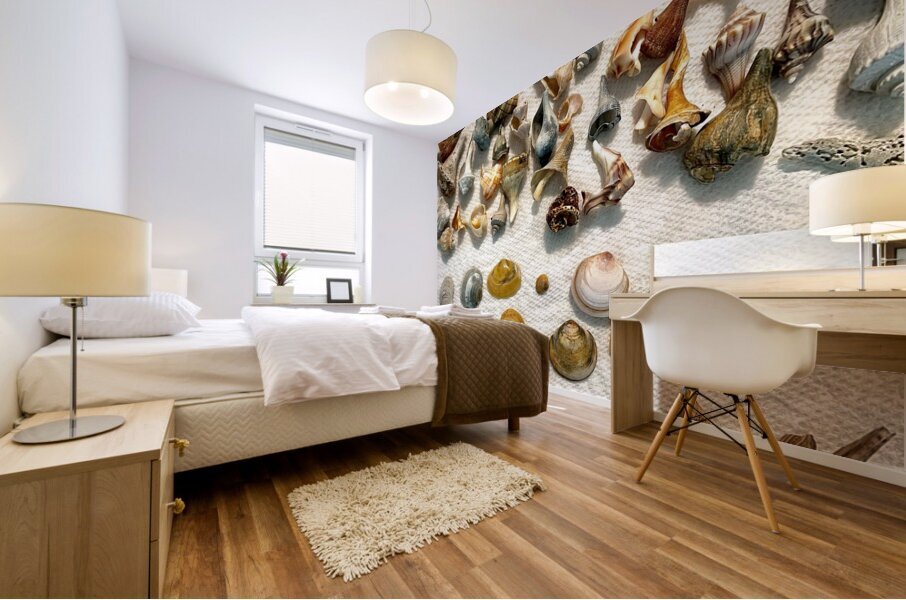 Beachcombing Shells Assortment Impression murale