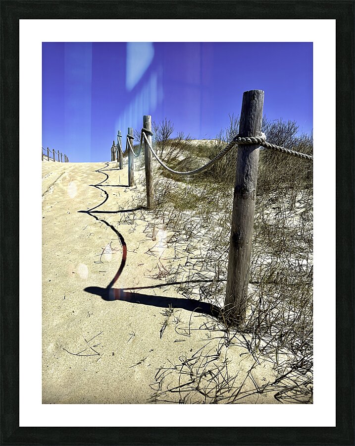 Pathway Across a Dune to the Beach Picture Frame print
