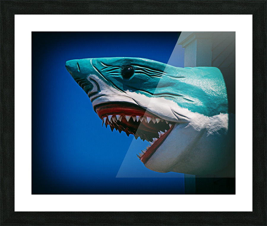Ocean City Shark Attack Picture Frame print
