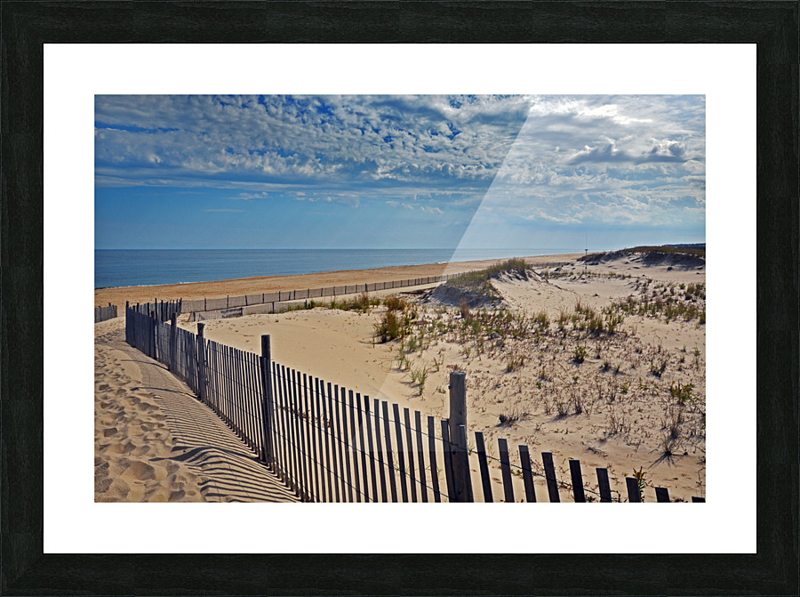 Cape Henlopen Beach Path Picture Frame print