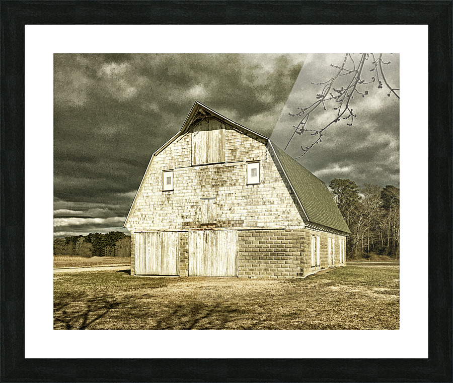  Fine Art print