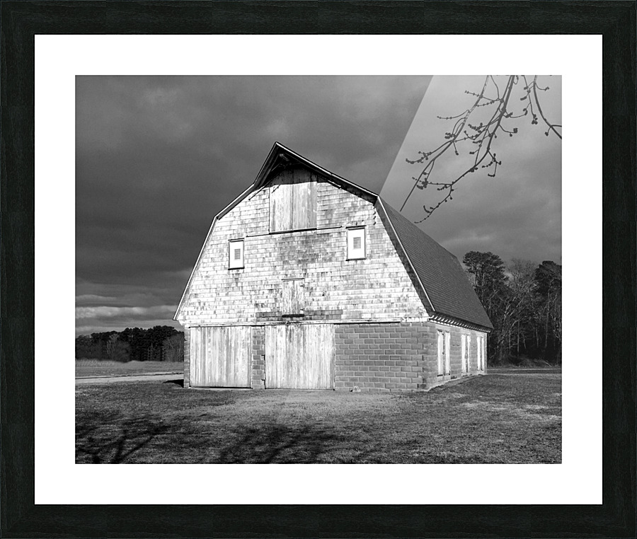  Fine Art print