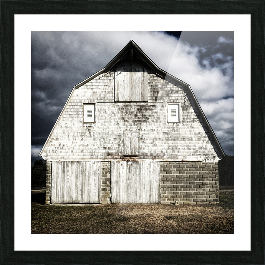  Fine Art print