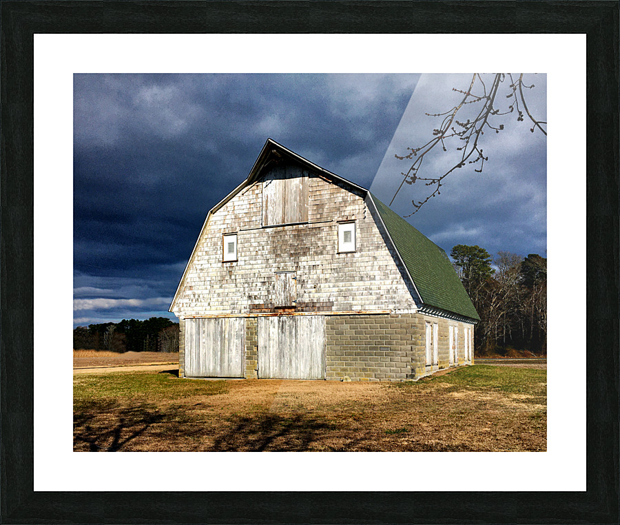  Fine Art print