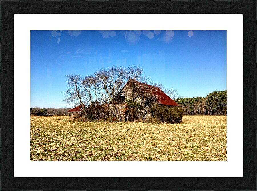  Fine Art print