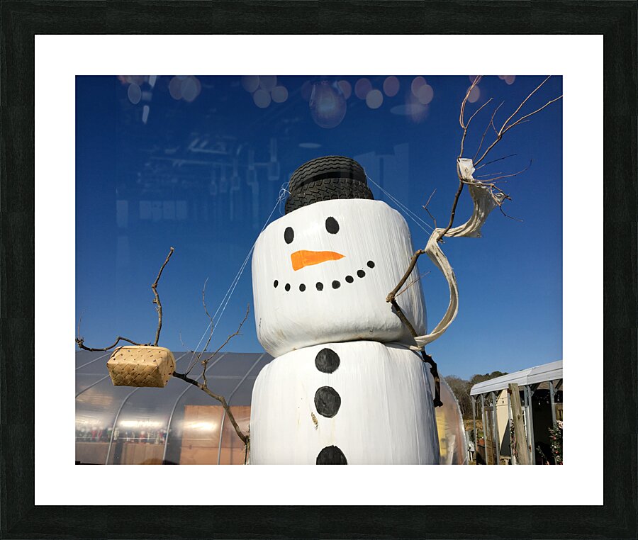  Fine Art print