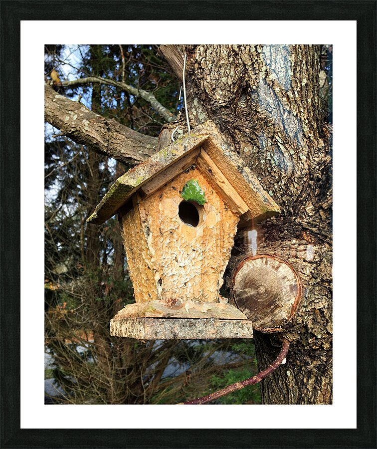  Fine Art print
