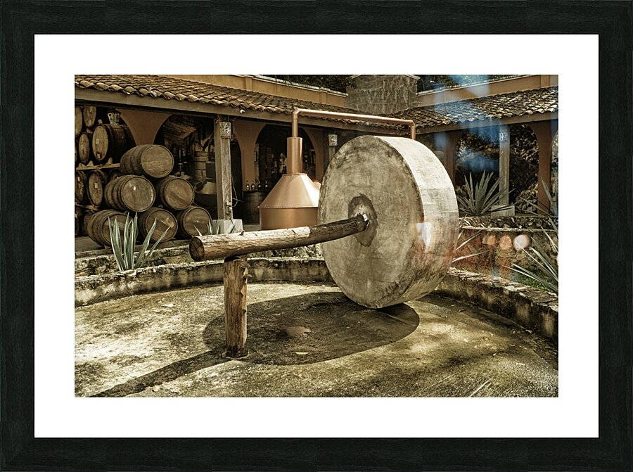  Fine Art print