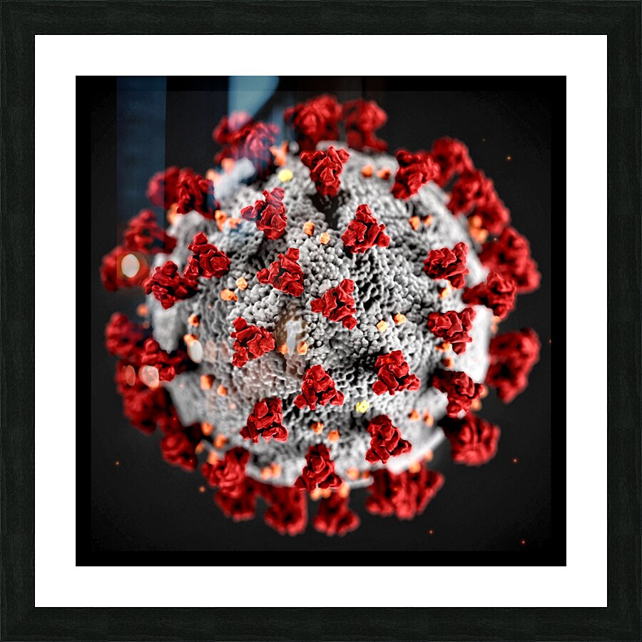  Fine Art print