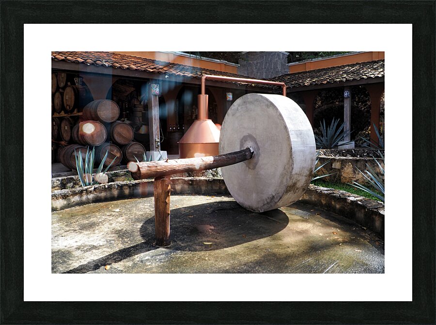  Fine Art print