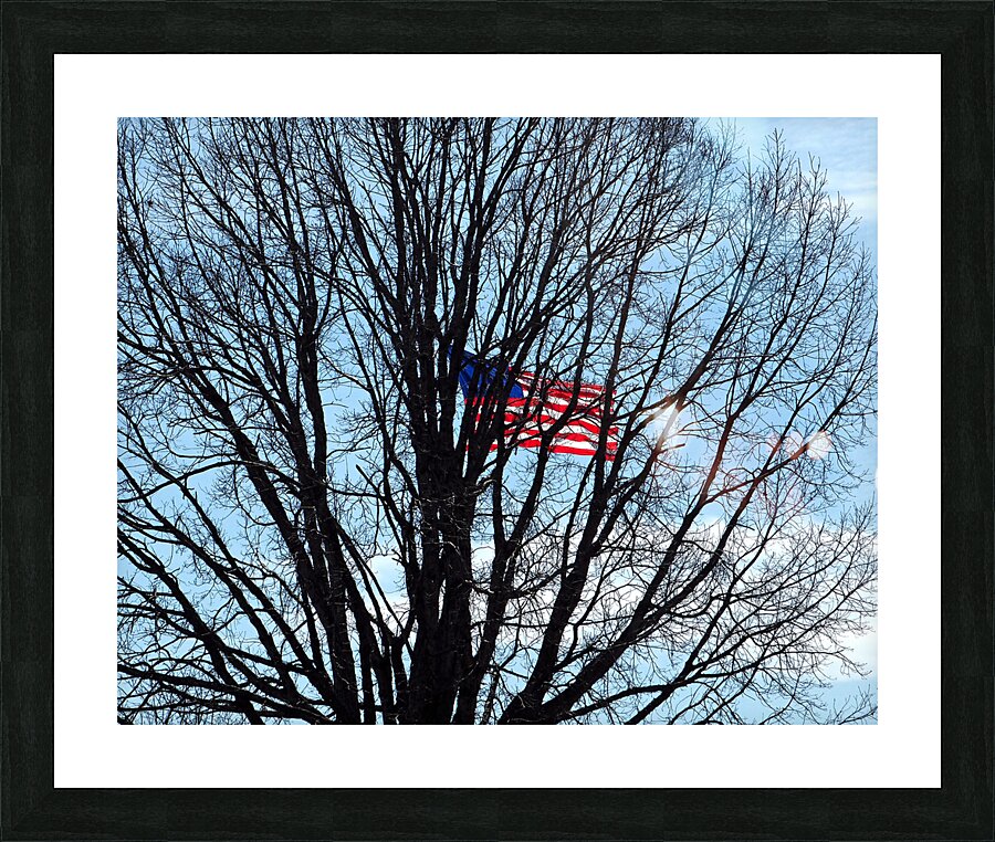  Fine Art print