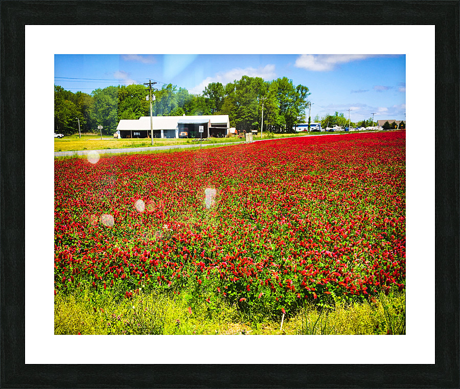  Fine Art print