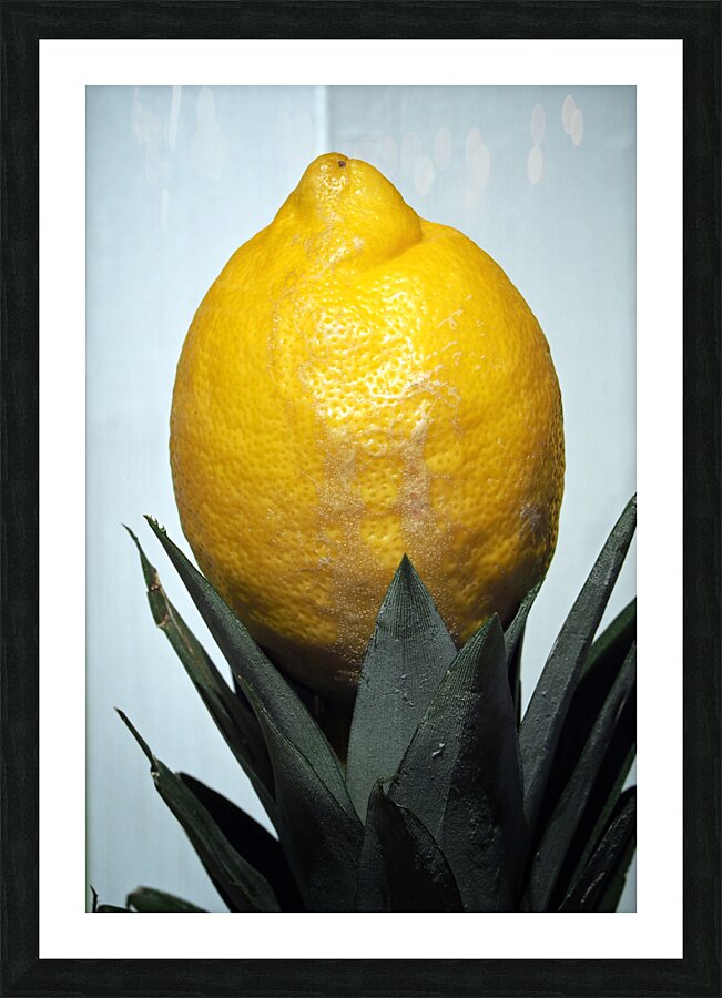  Fine Art print
