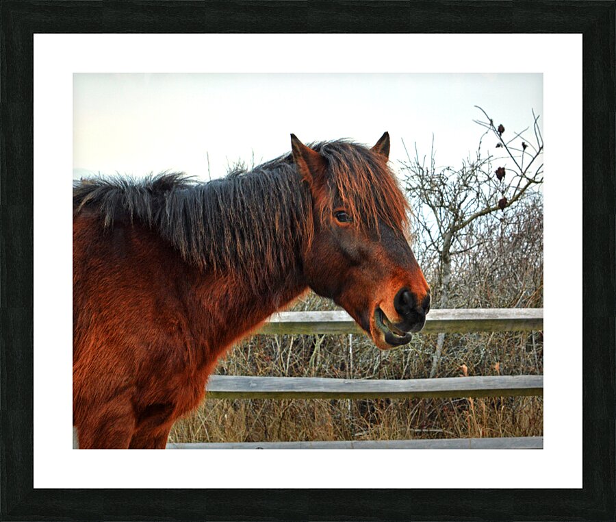  Fine Art print