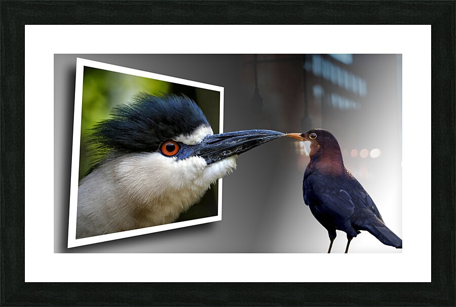  Fine Art print