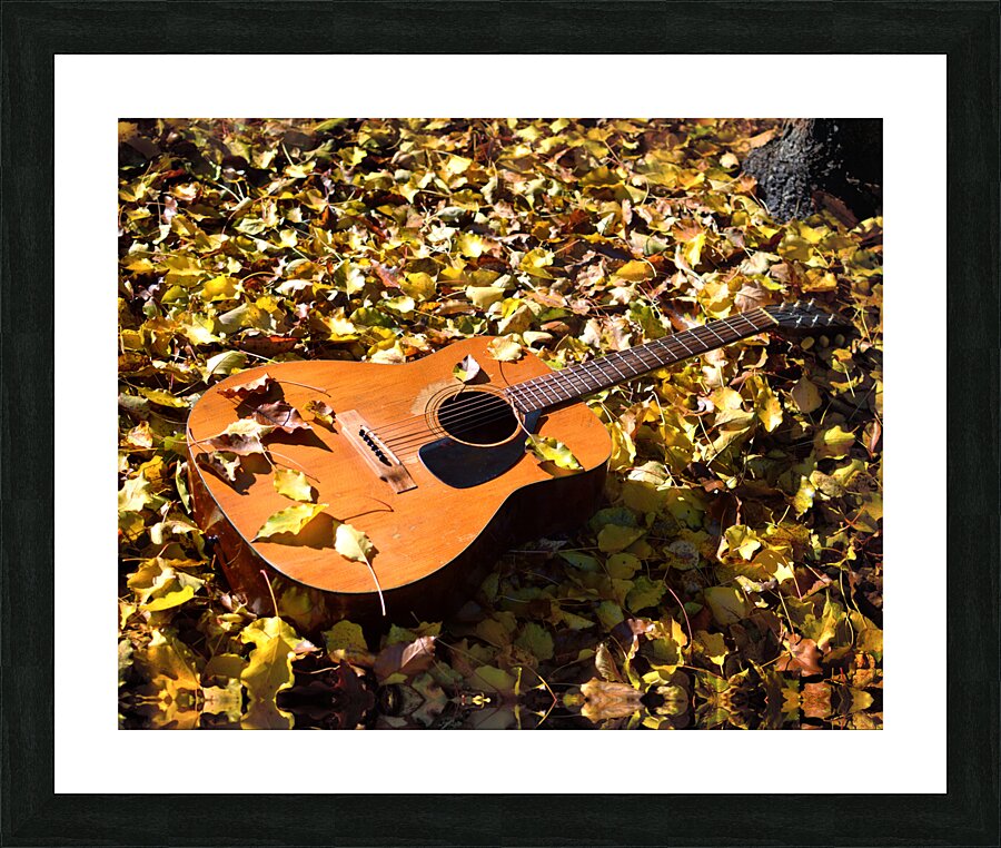  Fine Art print