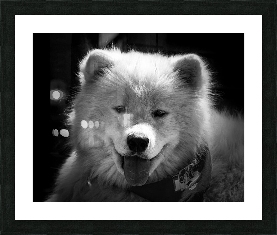 Fine Art print