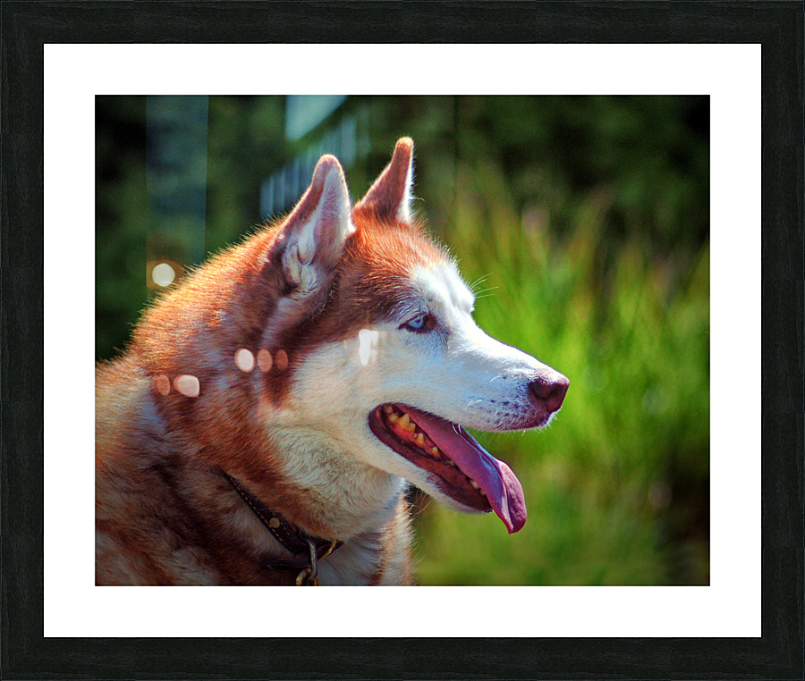  Fine Art print