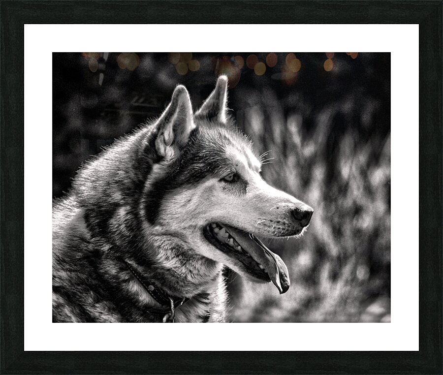 Fine Art print