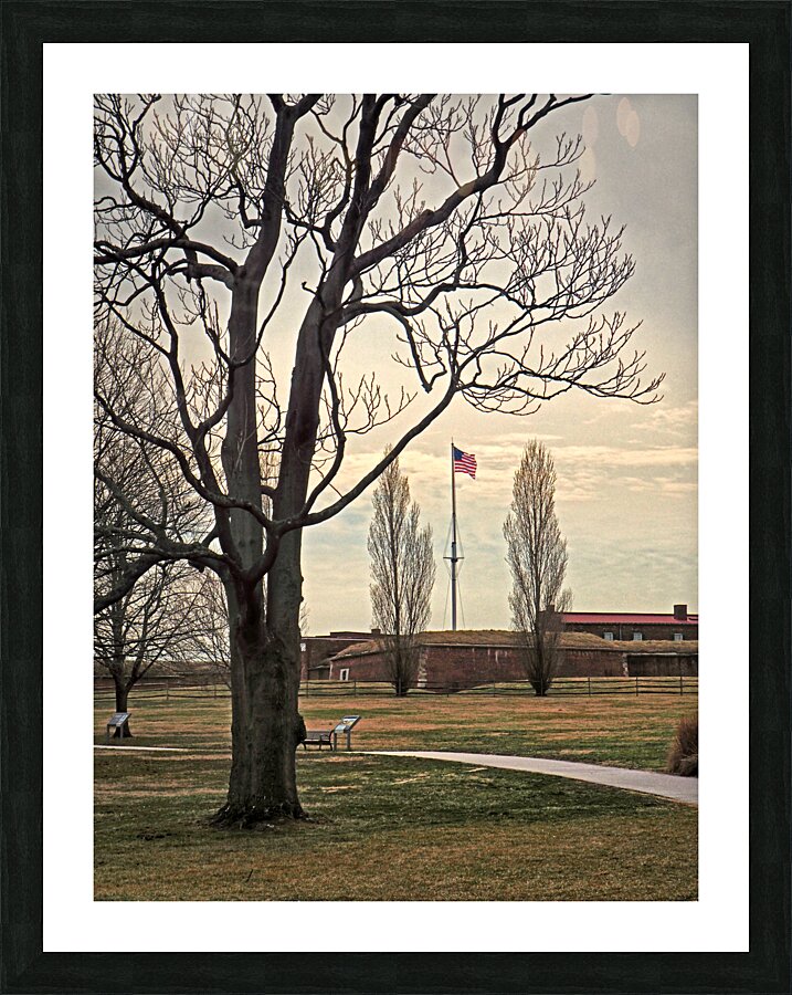  Fine Art print