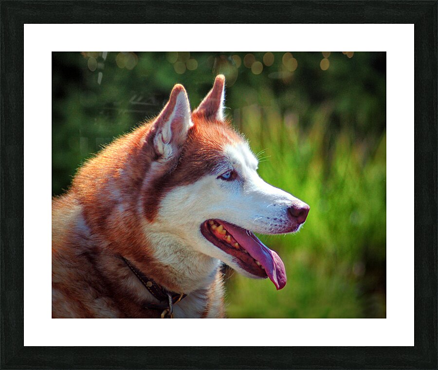  Fine Art print
