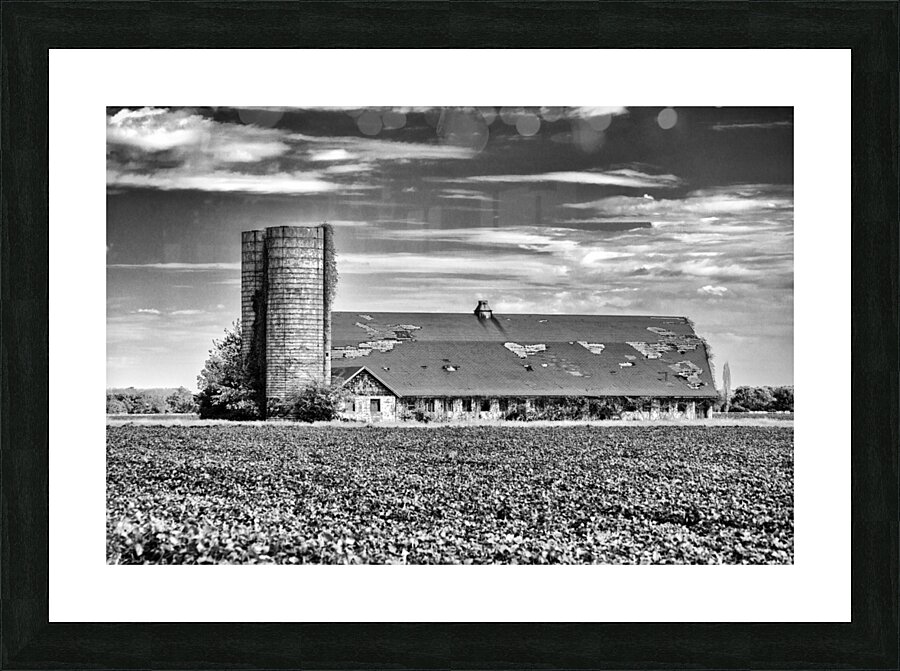  Fine Art print