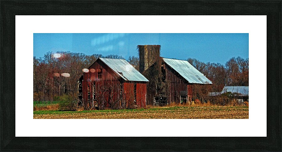  Fine Art print