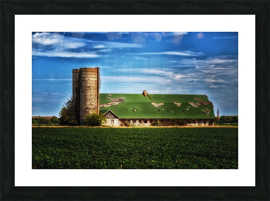  Fine Art print
