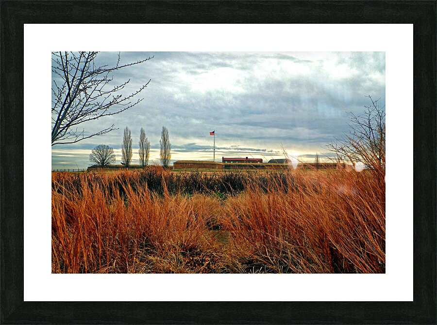  Fine Art print