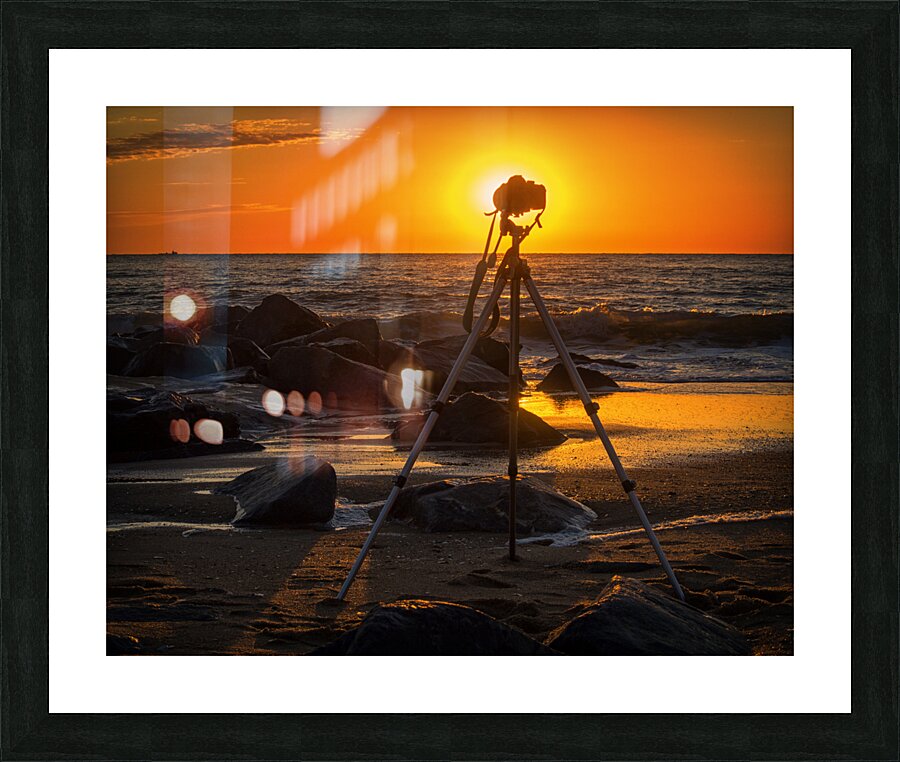  Fine Art print