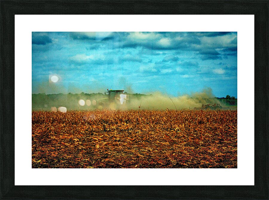  Fine Art print