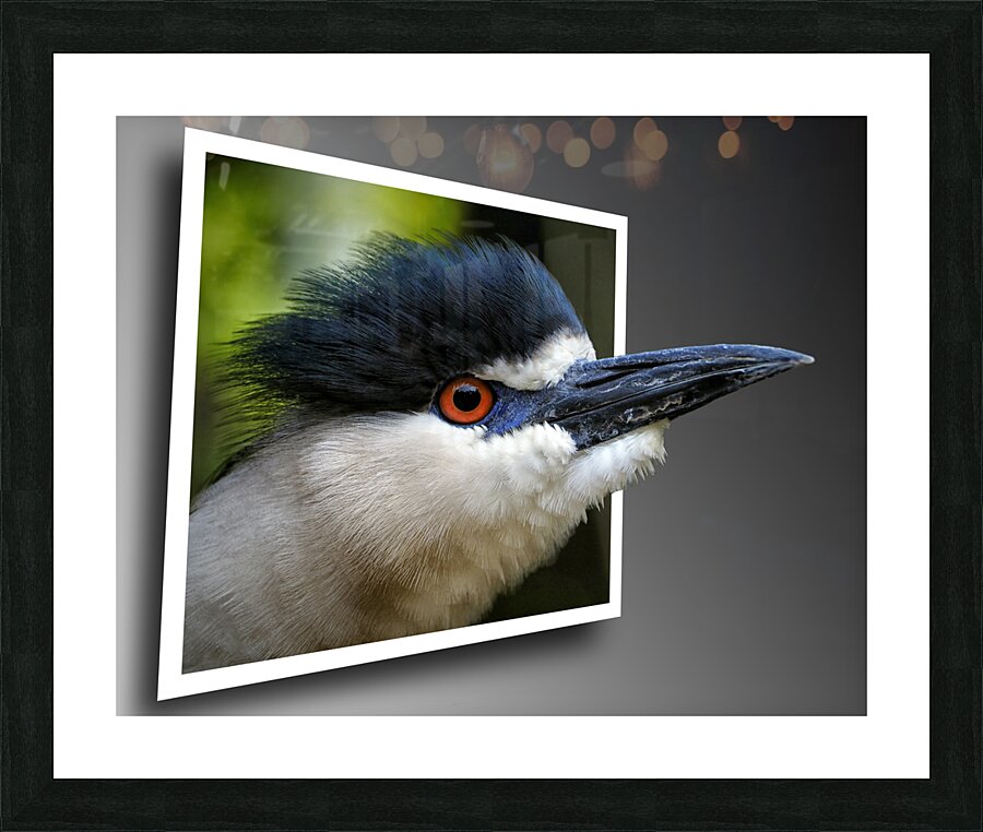  Fine Art print