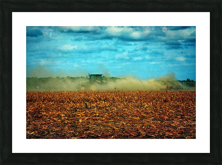  Fine Art print